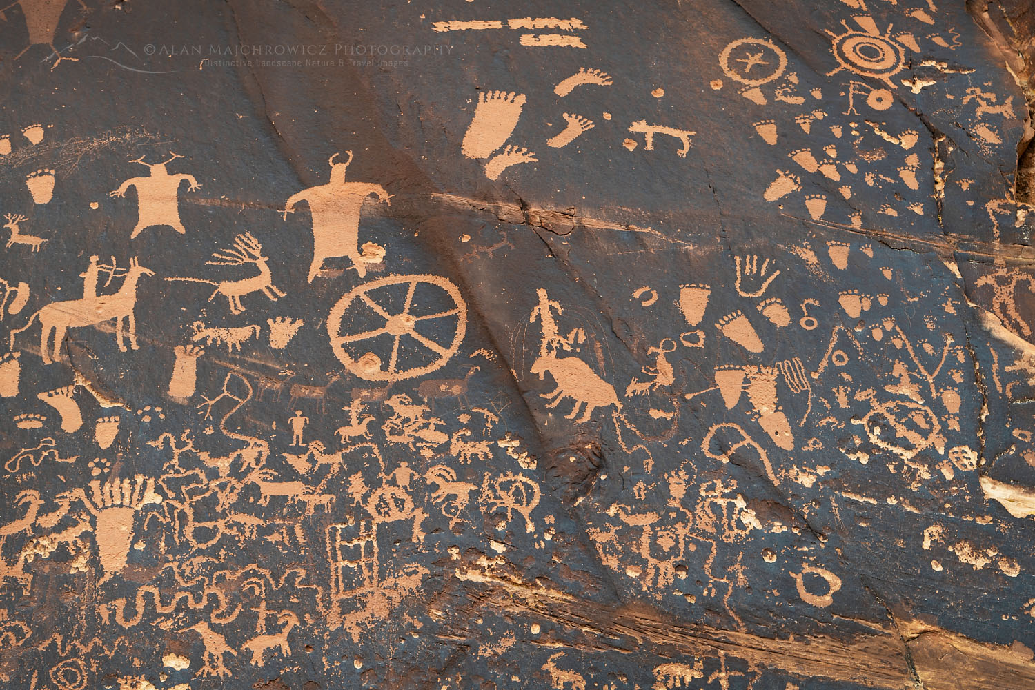 Newspaper Rock Petroglyph Panel Utah #74736
