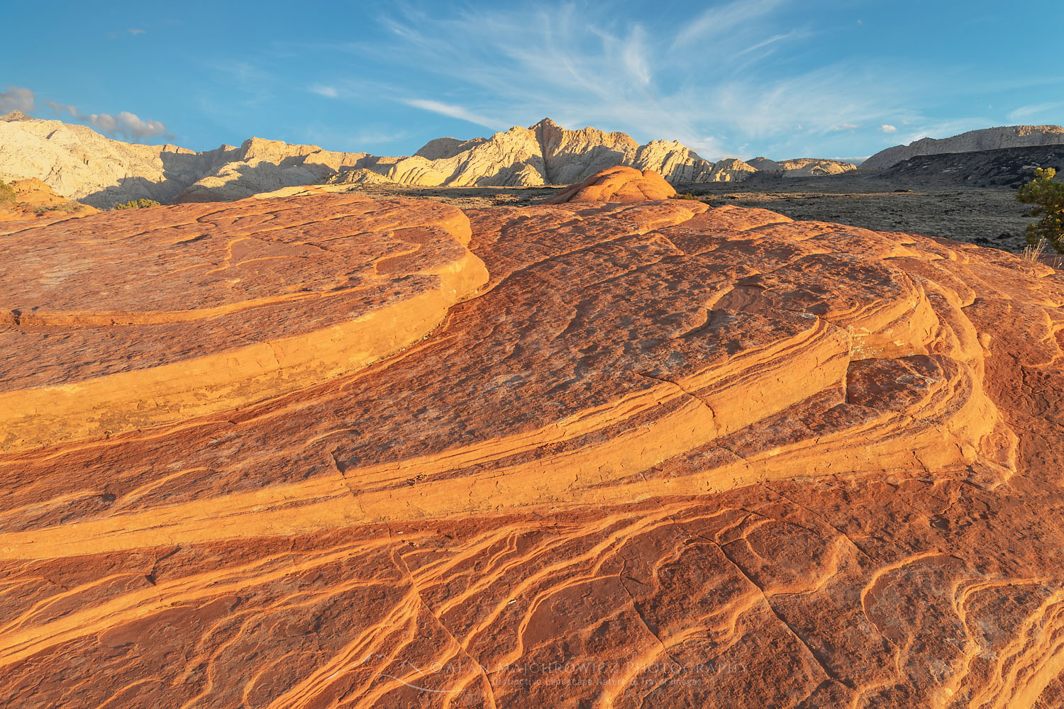 Sunrise on Petrified Dunes slickrock formations, Snow Canyon State Park Utah #77097b