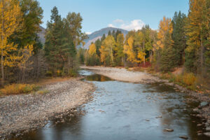 Fall foliage along the Methow River near Mazama Washington