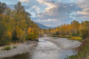 Fall foliage along the Methow River near Mazama Washington