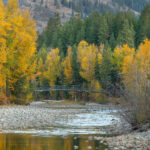 Tawlks-Foster Suspension Bridge and fall foliage along the Methow River near Mazama Washington