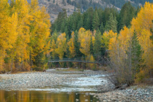 Tawlks-Foster Suspension Bridge and fall foliage along the Methow River near Mazama Washington