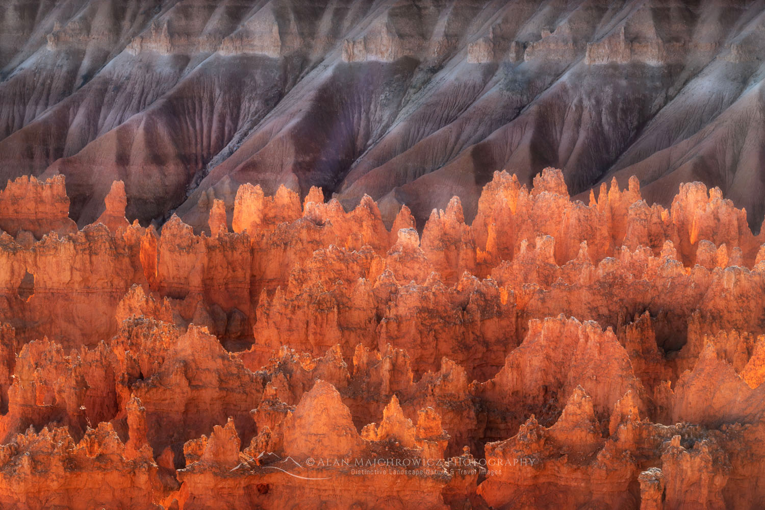 Sunrise Point Bryce Canyon National Park Alan Majchrowicz Photography 9290