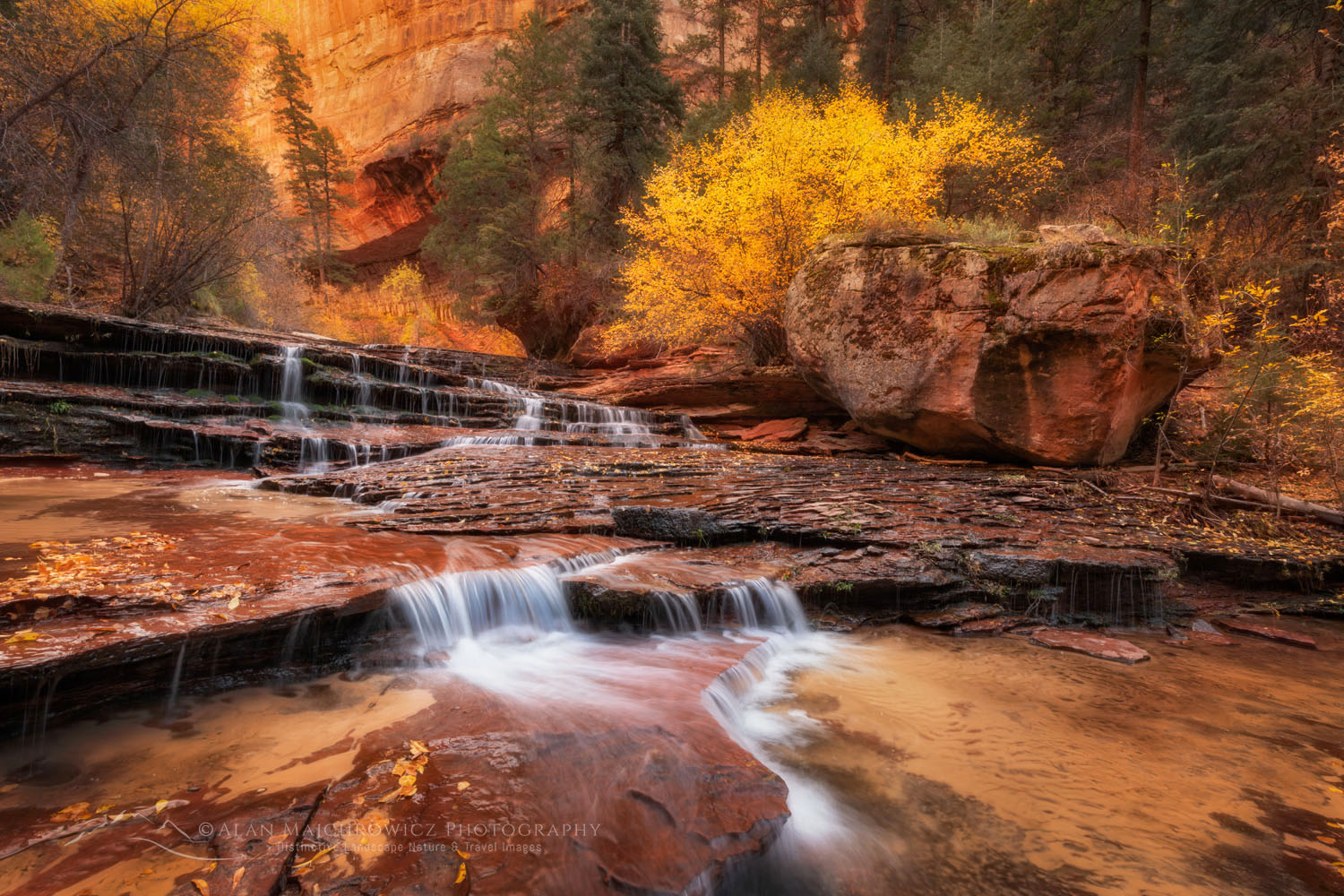 Zion National Park - Alan Majchrowicz