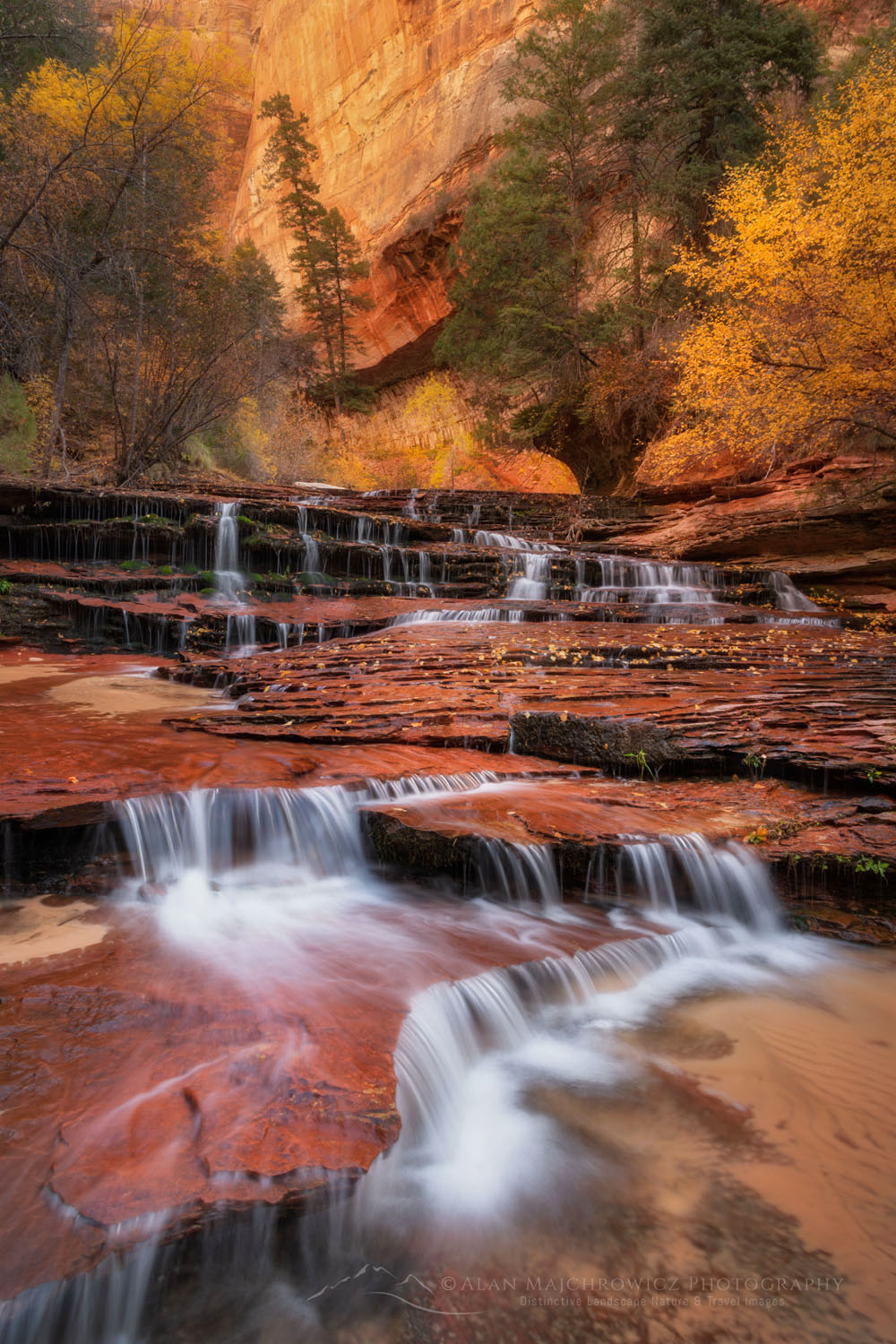 Archangel Falls Zion National Park - Alan Majchrowicz Photography