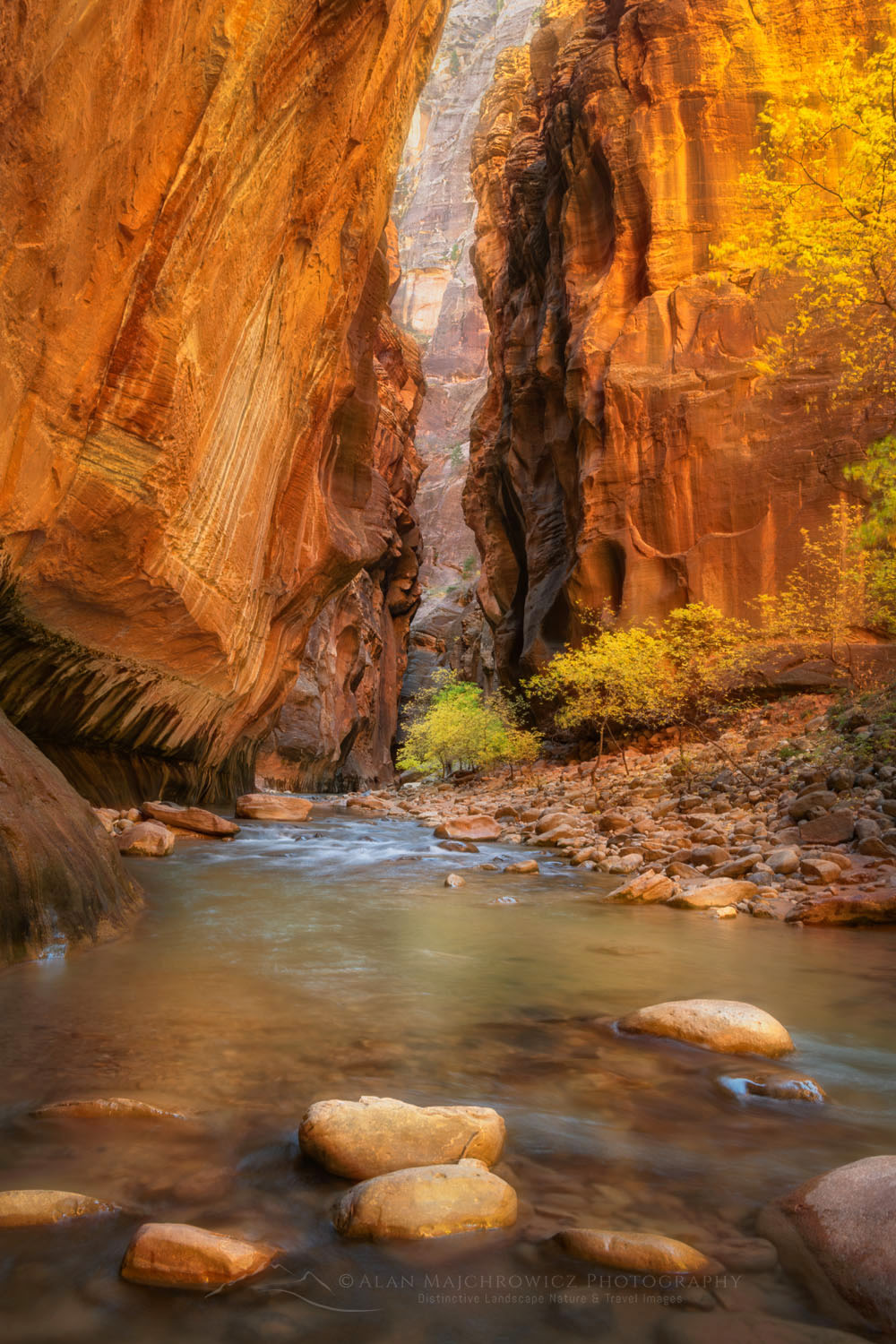 Fall color in Zion Canyon Narrows Zion National Park Utah #76925or