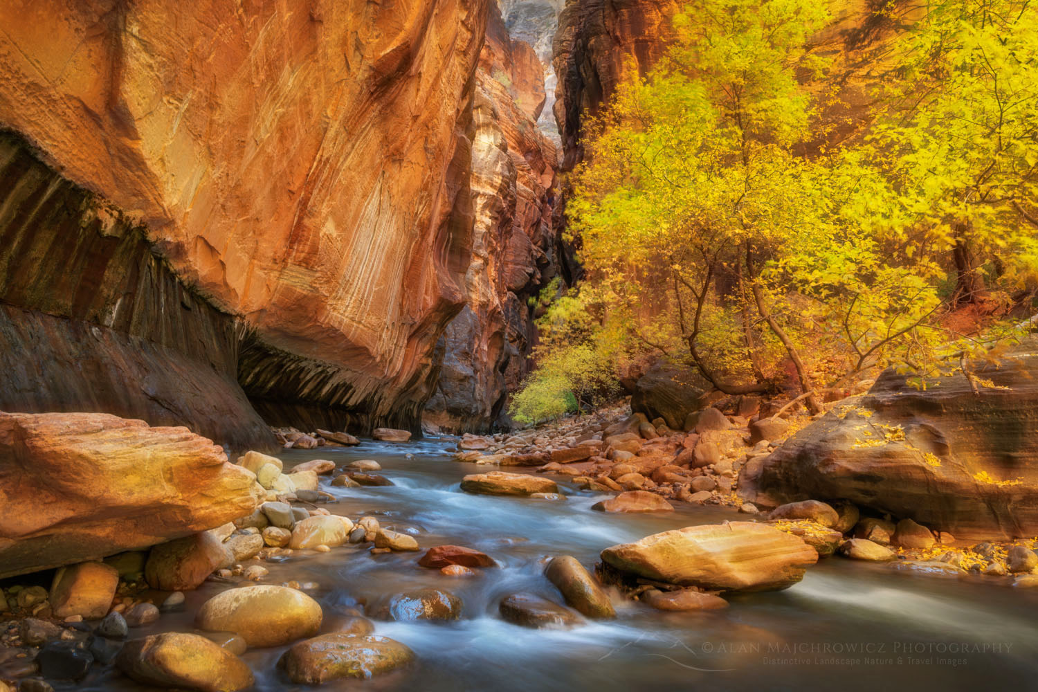 Zion Canyon Narrows - Alan Majchrowicz Photography