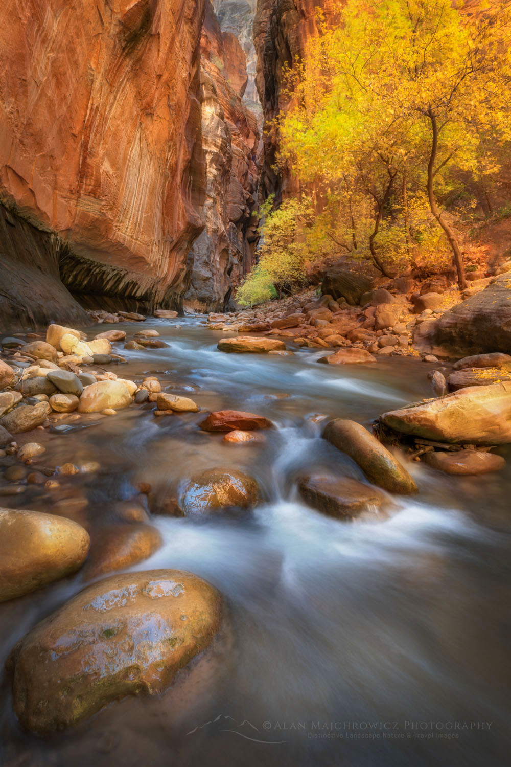 Zion Canyon Narrows - Alan Majchrowicz Photography