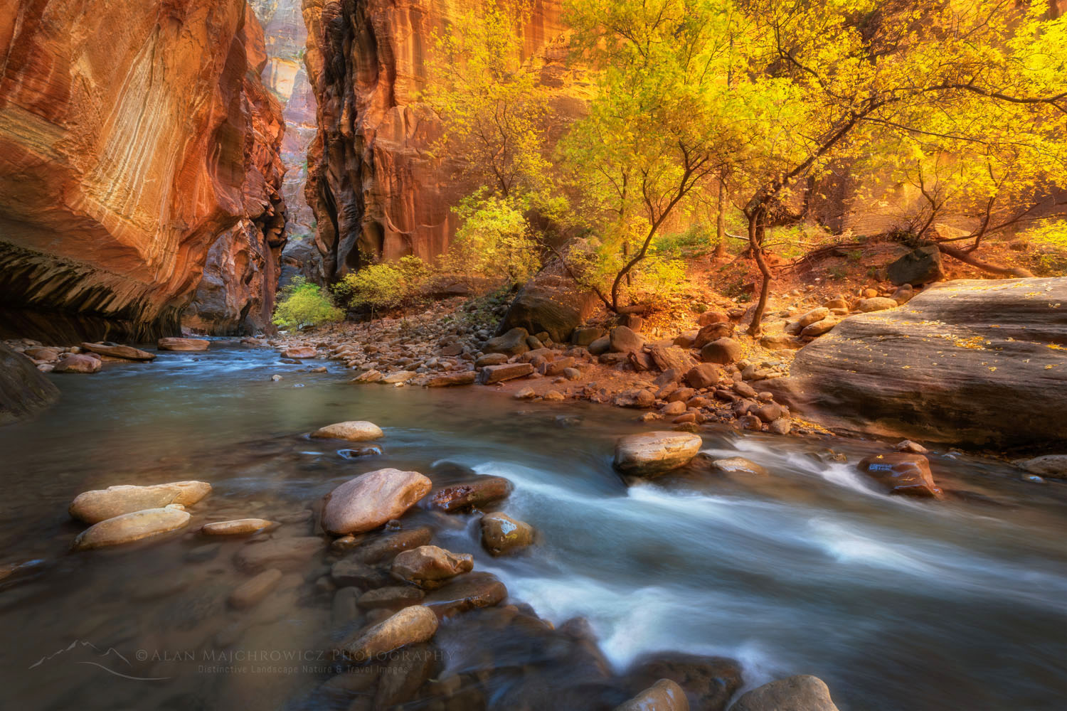 Fall color in Zion Canyon Narrows Zion National Park Utah #76933or