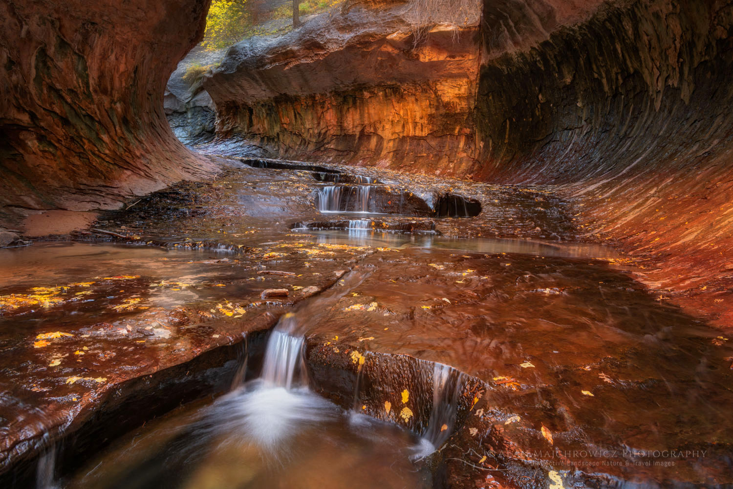 The Subway, Left Fork North Creek, Zion National Park Utah #76810or
