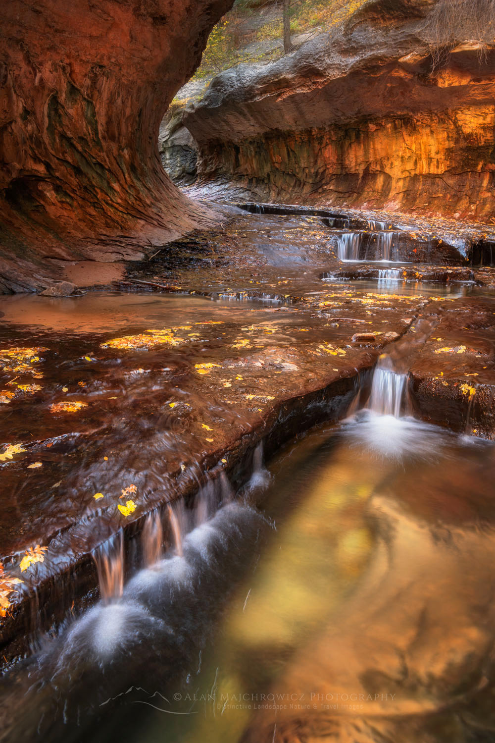 The Subway Zion National Park - Alan Majchrowicz Photography