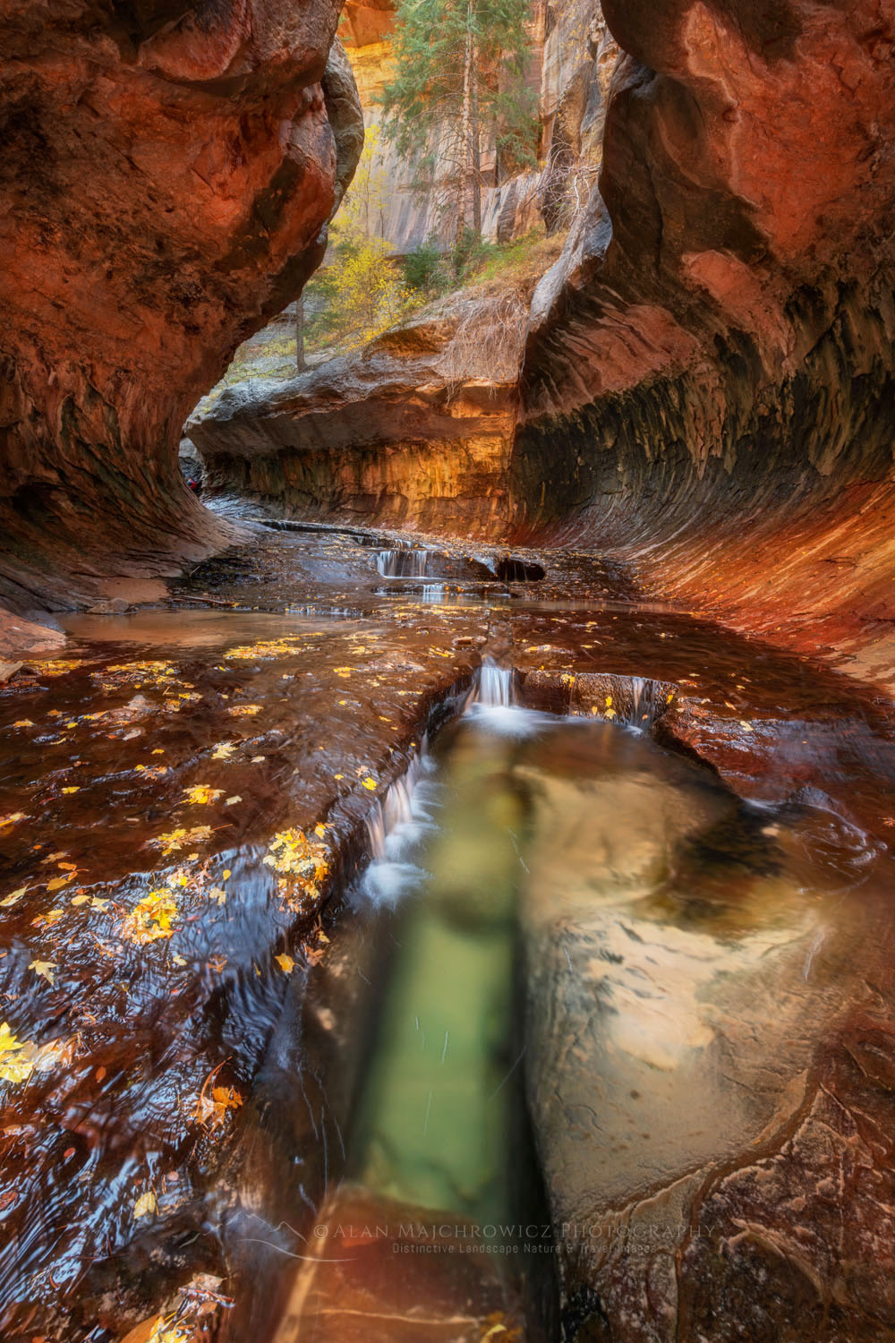Emerald green pools in The Subway, Left Fork North Creek, Zion National Park Utah #76842or