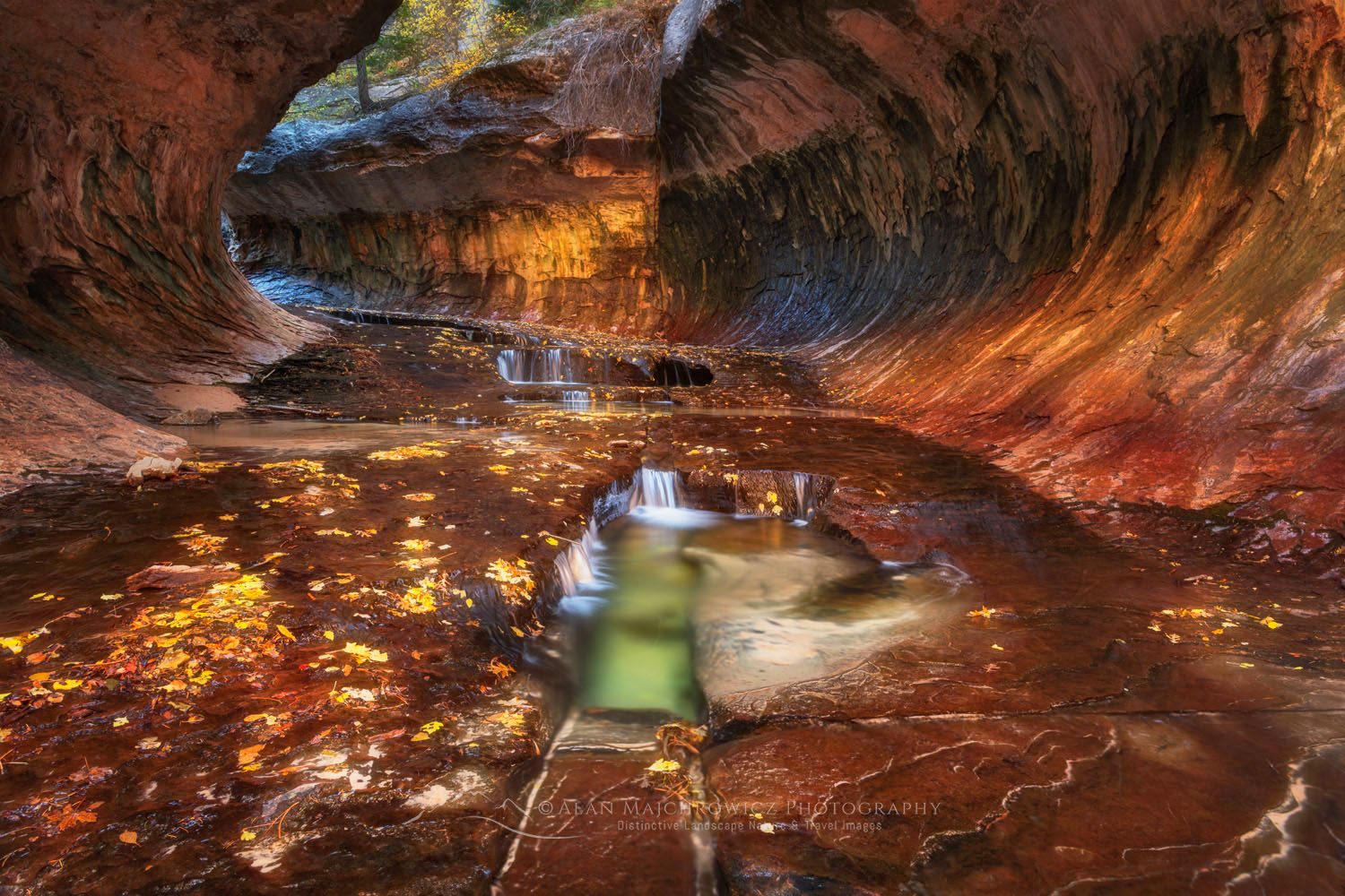 Emerald green pools in The Subway, Left Fork North Creek, Zion National Park Utah #76884or