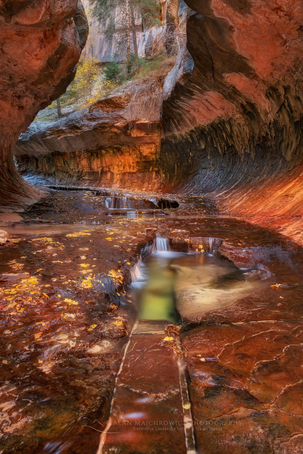 Emerald green pools in The Subway, Left Fork North Creek, Zion National Park Utah #76887or