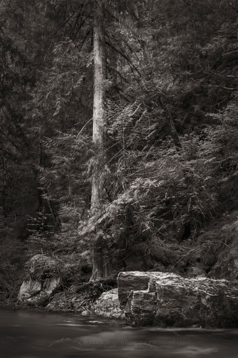 Stetattle Creek North Cascades National Park Washington #77801bw