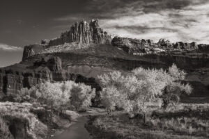 The Castle and Fremont River, Capitol Reef National Park Utah #75509bw