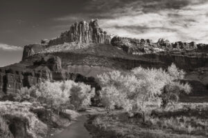 The Castle and Fremont River, Capitol Reef National Park Utah #75509bw