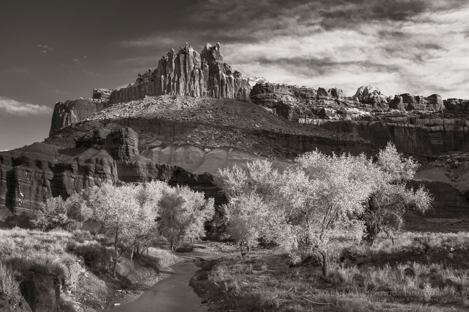 The Castle and Fremont River, Capitol Reef National Park Utah #75509bw