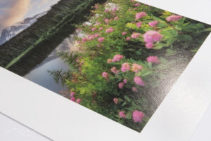 Hahnemühle Photo Rag Baryta Fine Art Giclee Prints