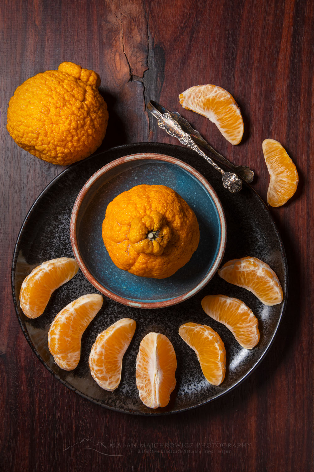 Culinary still life consisting of Sumo Mandarin Oranges on earthenware plates and bowls with antique serving tongs #79006