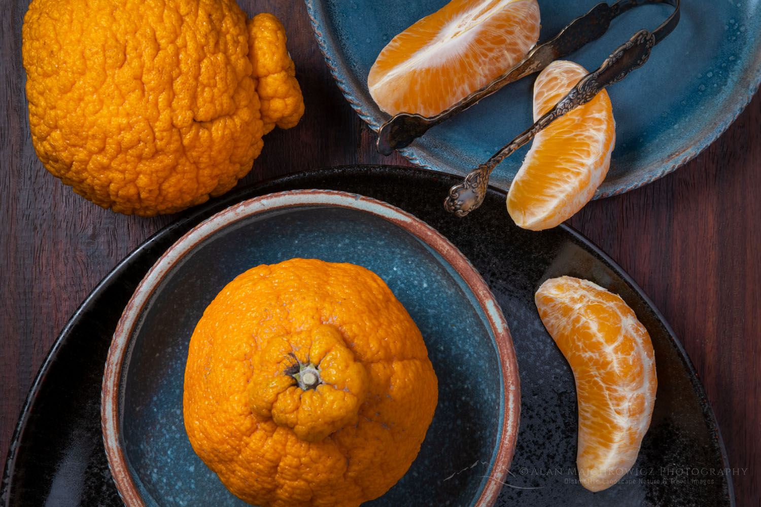 Culinary still life consisting of Sumo Mandarin Oranges on earthenware plates and bowls with antique serving tongs #79011