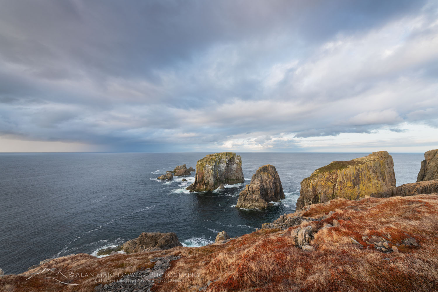 Rugged headlands near Spillars Cove, Bonavista Peninsula, Newfoundland #79683