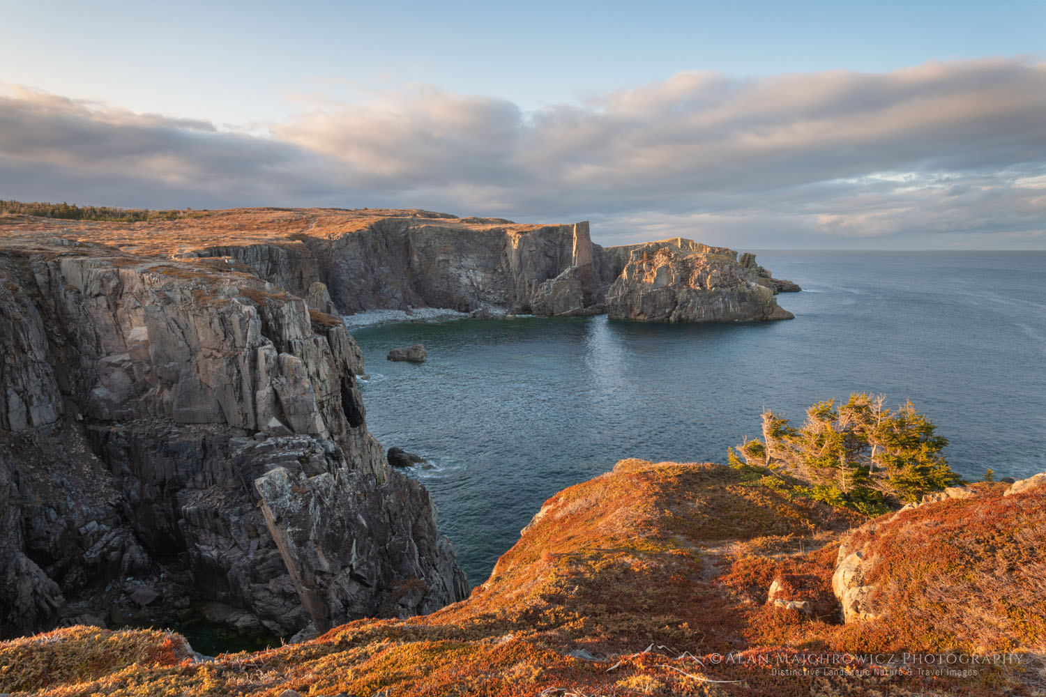 Cable John Cove, a Discovery UNESCO Global Geopark, Bonavista Peninsula, Newfoundland #79697
