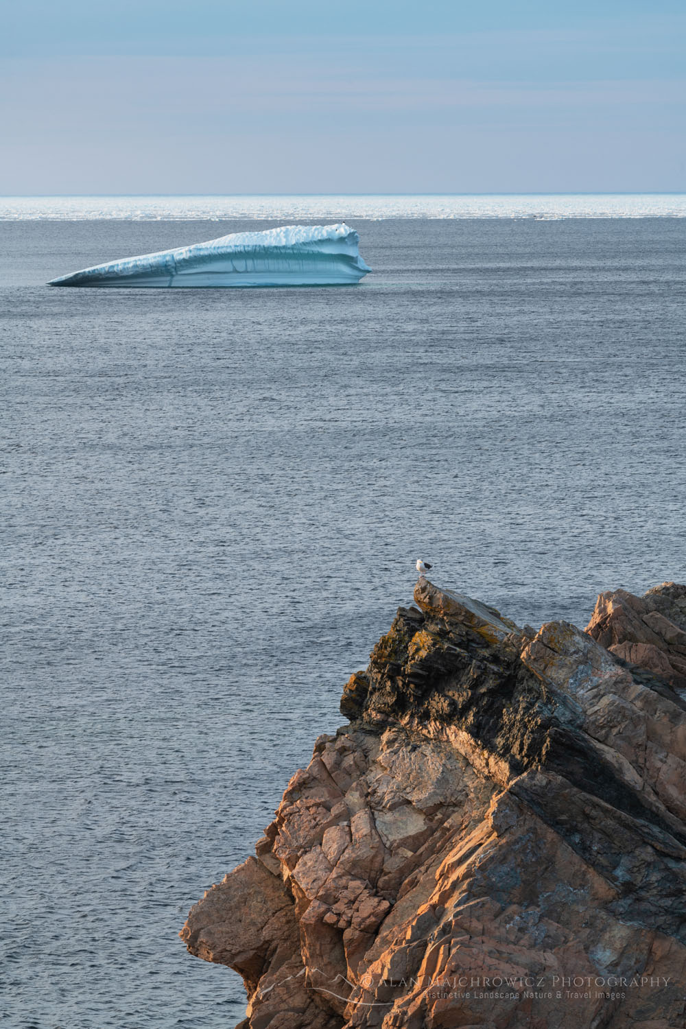 Iceberg in Spiller's Cove, Newfoundland and Labrador Canada #80004