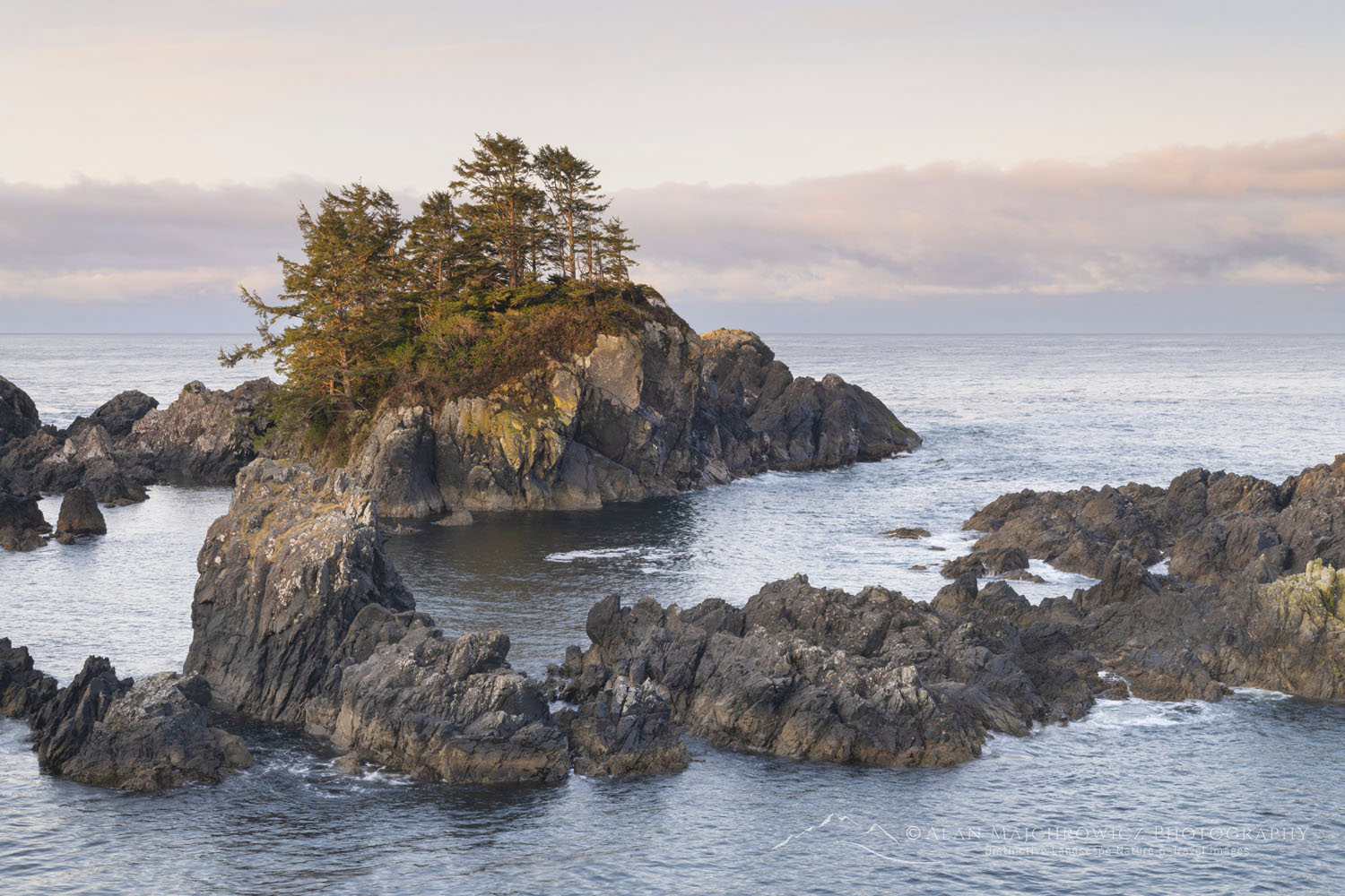Wild Pacific Trail Ucluelet British Columbia - Alan Majchrowicz