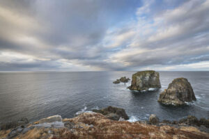 Rugged headlands near Spillars Cove, Bonavista Peninsula, Newfoundland #79693