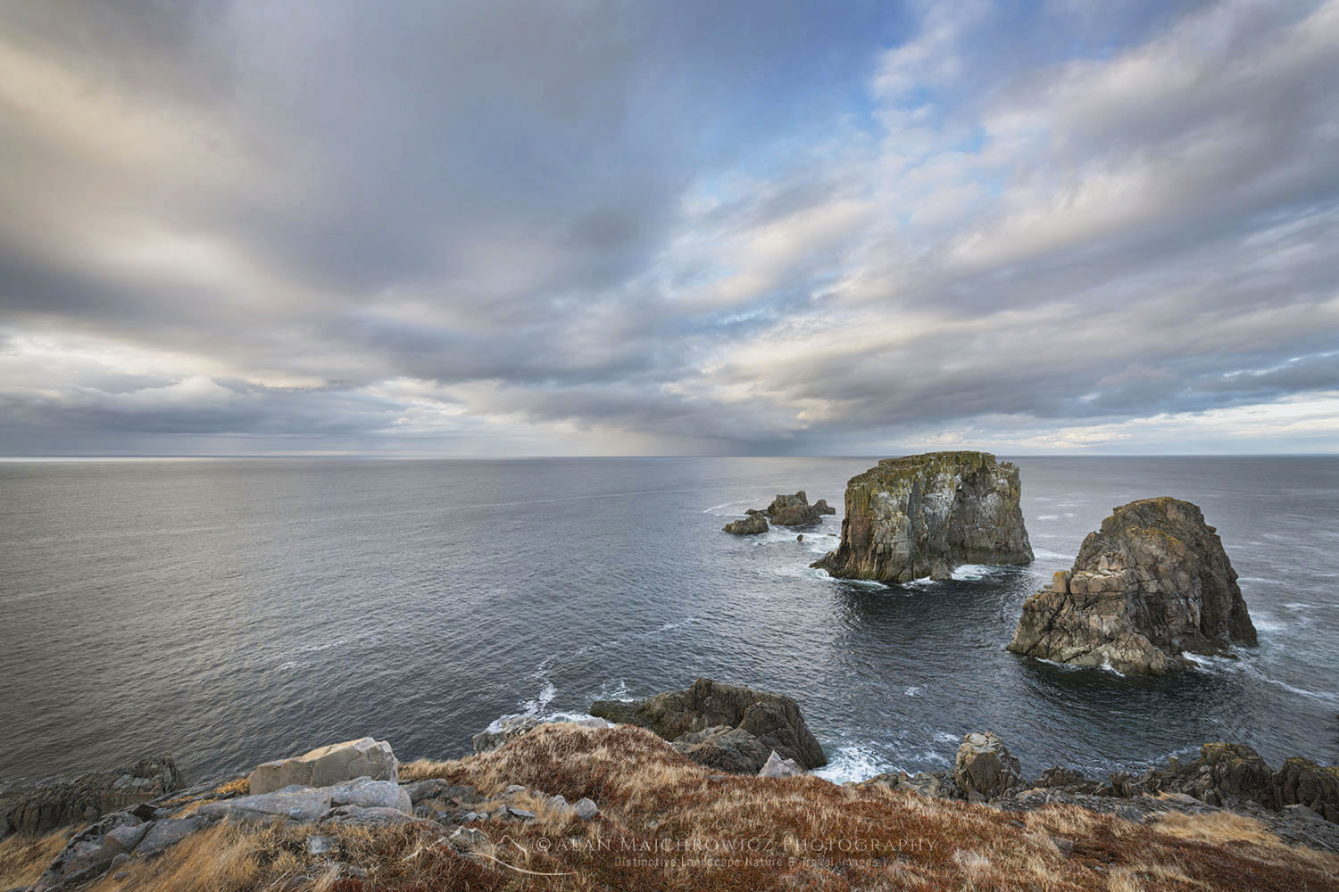 Wildlife expert says painted rocks on Nova Scotia shores are bad for local  ecosystems