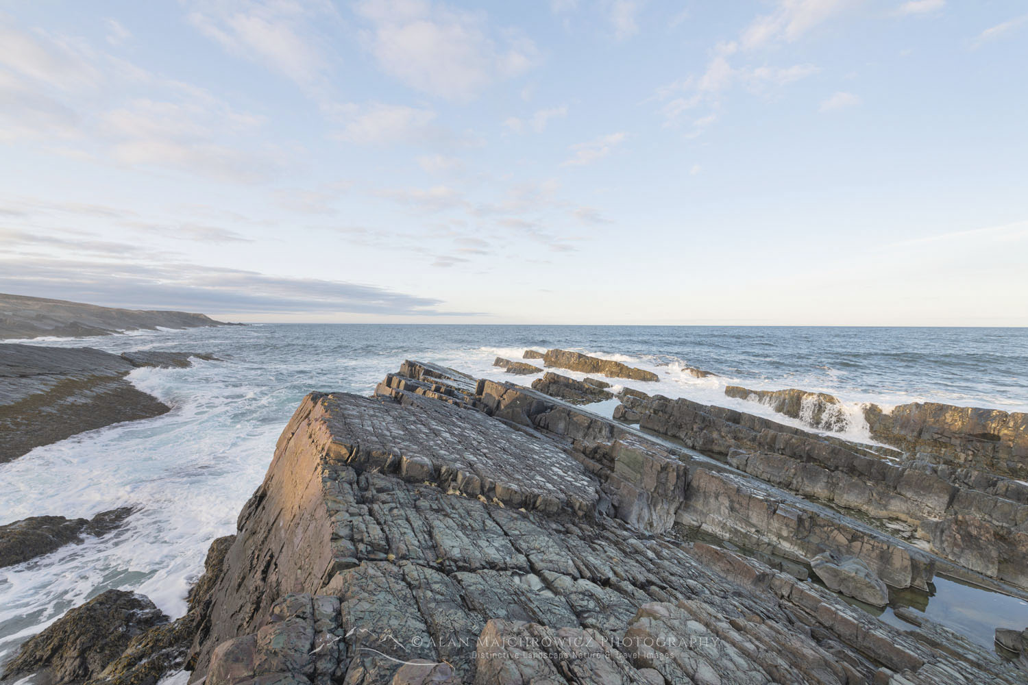 Daleys Point on the southern Avalon Peninsula. Part of the Mistaken Point Ecological Reserve and UNESCO World Heritage Site. Newfoundland and Labrador Canada #80618