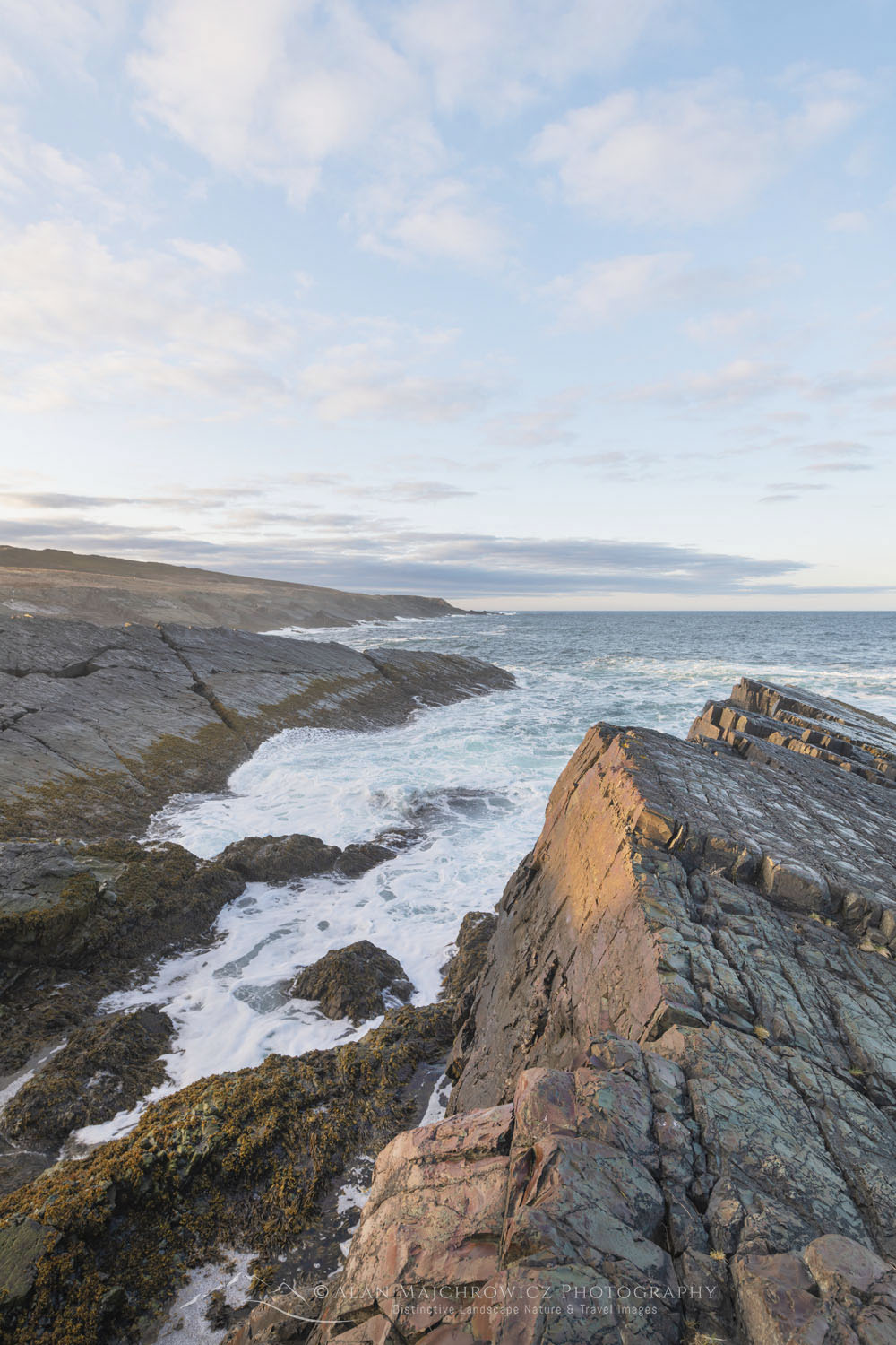 Daleys Point on the southern Avalon Peninsula. Part of the Mistaken Point Ecological Reserve and UNESCO World Heritage Site. Newfoundland and Labrador Canada #80620