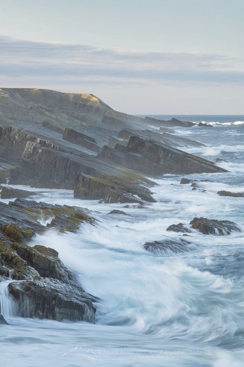 Daleys Point on the southern Avalon Peninsula. Part of the Mistaken Point Ecological Reserve and UNESCO World Heritage Site. Newfoundland and Labrador Canada #80622