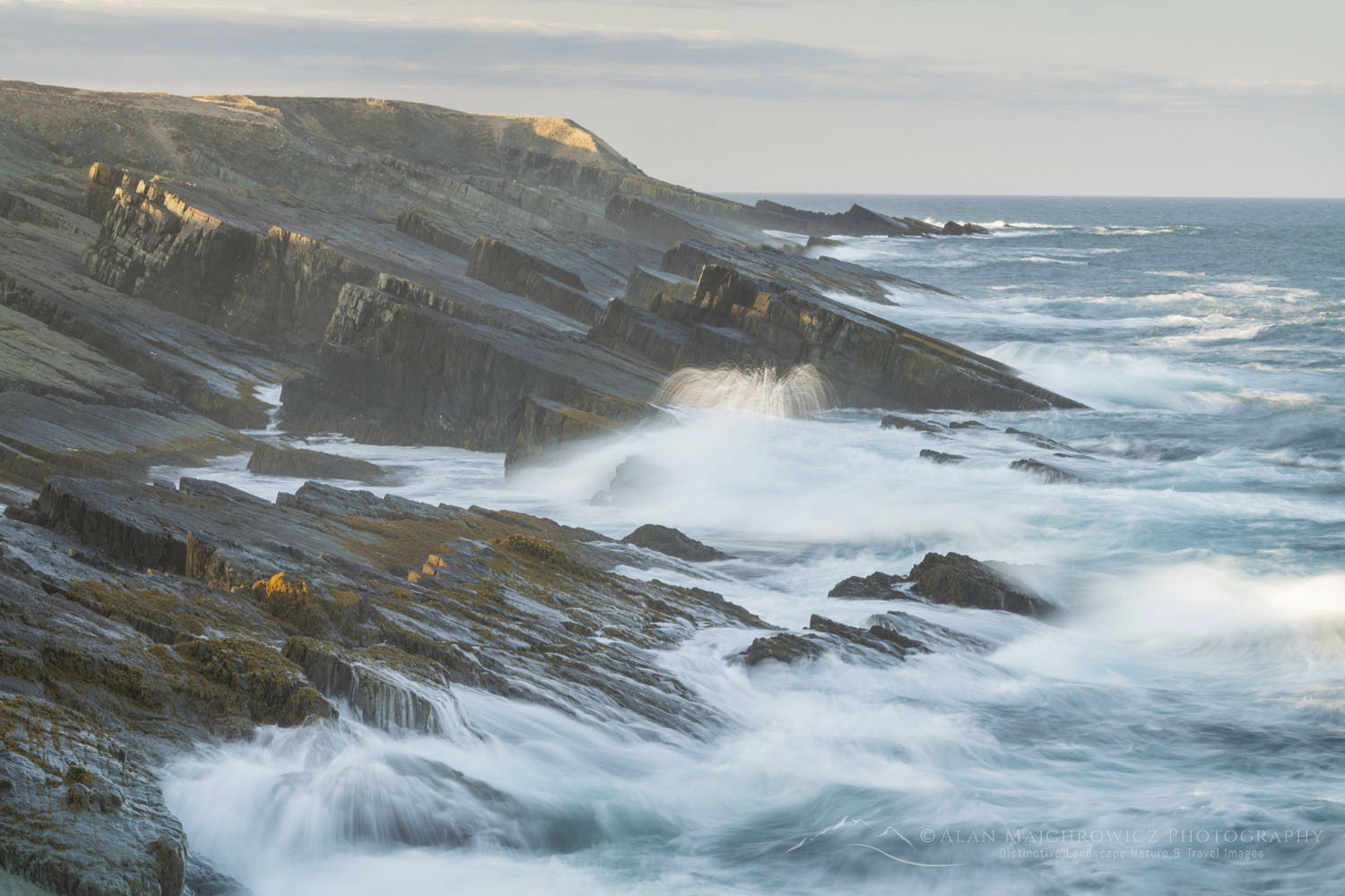 Daleys Point on the southern Avalon Peninsula. Part of the Mistaken Point Ecological Reserve and UNESCO World Heritage Site. Newfoundland and Labrador Canada #80624