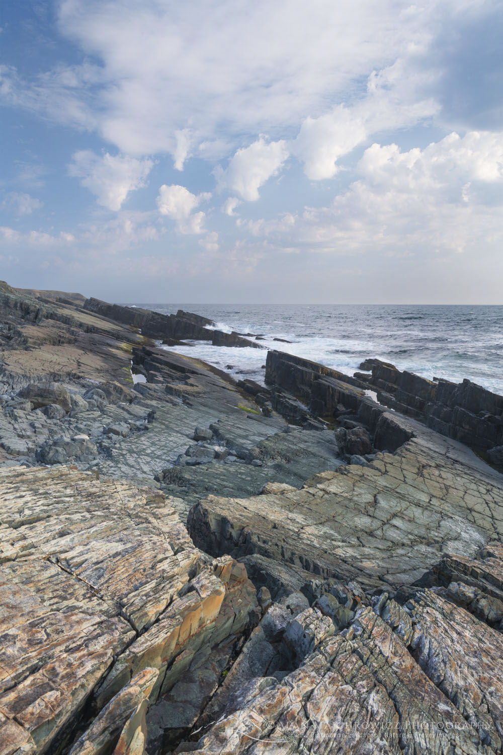 Daleys Point on the southern Avalon Peninsula. Part of the Mistaken Point Ecological Reserve and UNESCO World Heritage Site. Newfoundland and Labrador Canada #80633