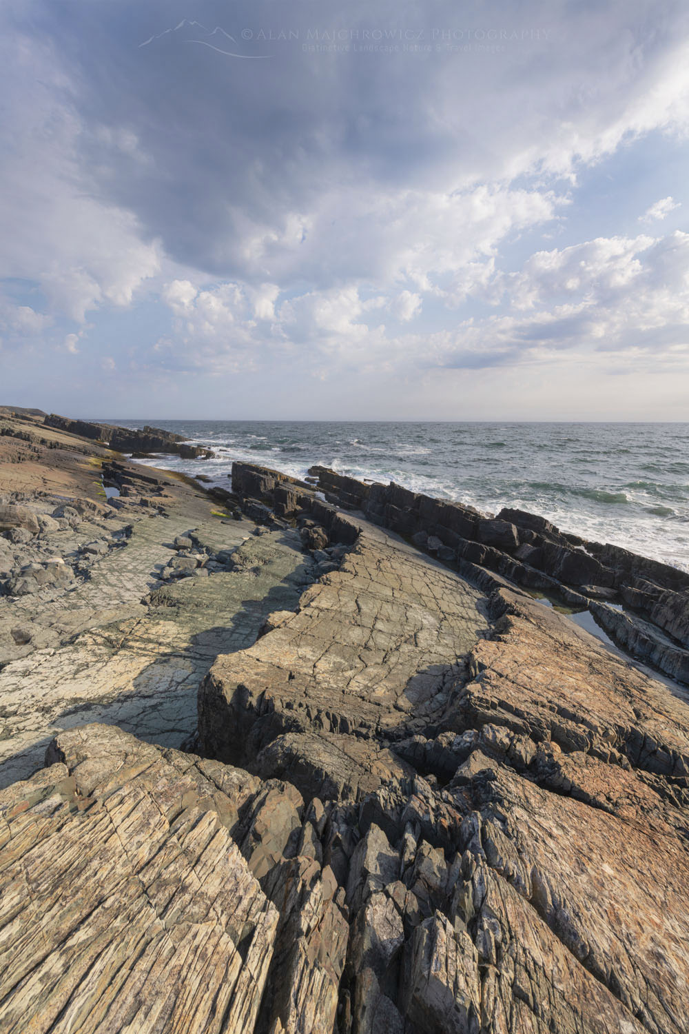 Daleys Point on the southern Avalon Peninsula. Part of the Mistaken Point Ecological Reserve and UNESCO World Heritage Site. Newfoundland and Labrador Canada #80642