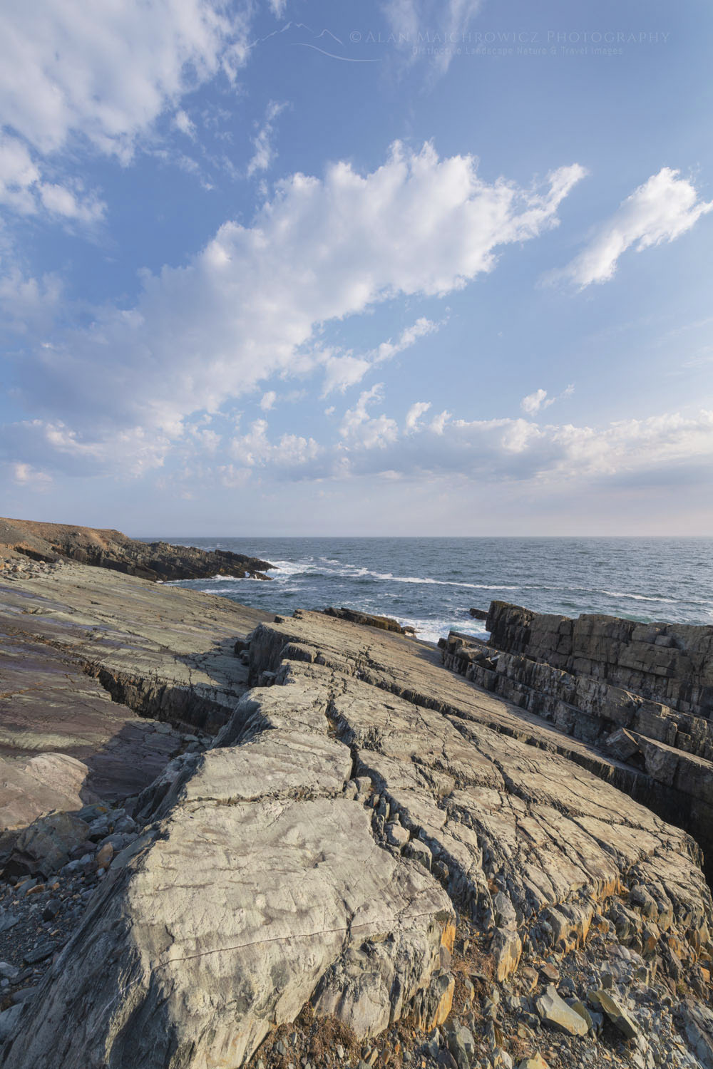 Daleys Point on the southern Avalon Peninsula. Part of the Mistaken Point Ecological Reserve and UNESCO World Heritage Site. Newfoundland and Labrador Canada #80649