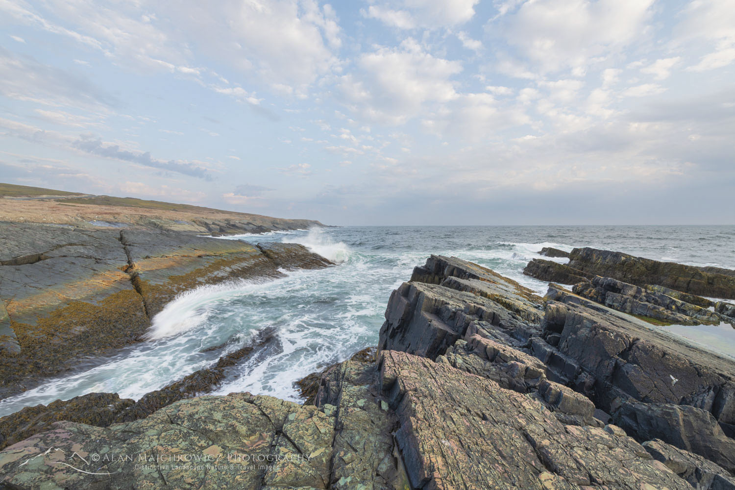 Daleys Point on the southern Avalon Peninsula. Part of the Mistaken Point Ecological Reserve and UNESCO World Heritage Site. Newfoundland and Labrador Canada #80688
