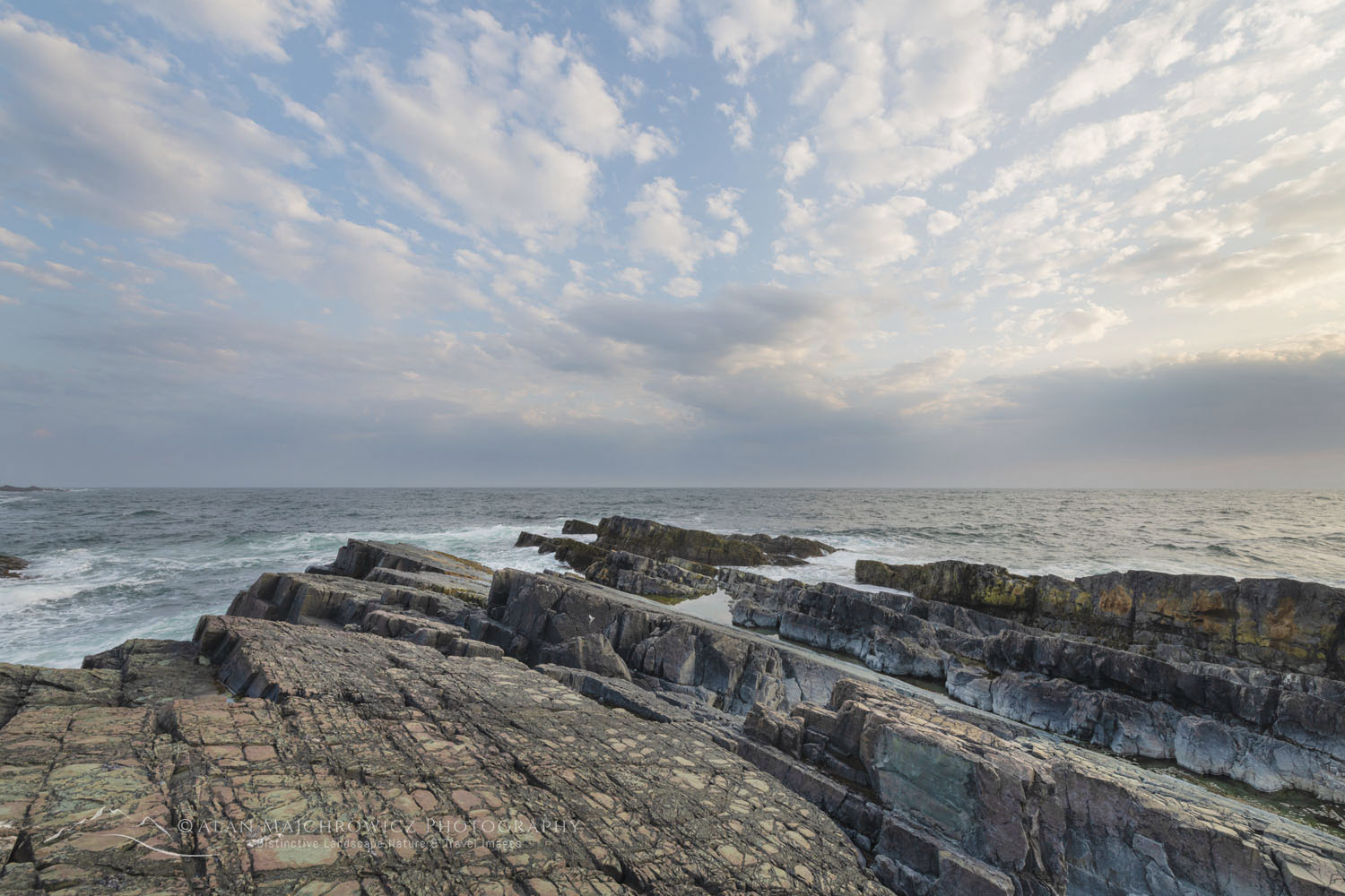 Daleys Point on the southern Avalon Peninsula. Part of the Mistaken Point Ecological Reserve and UNESCO World Heritage Site. Newfoundland and Labrador Canada #80692