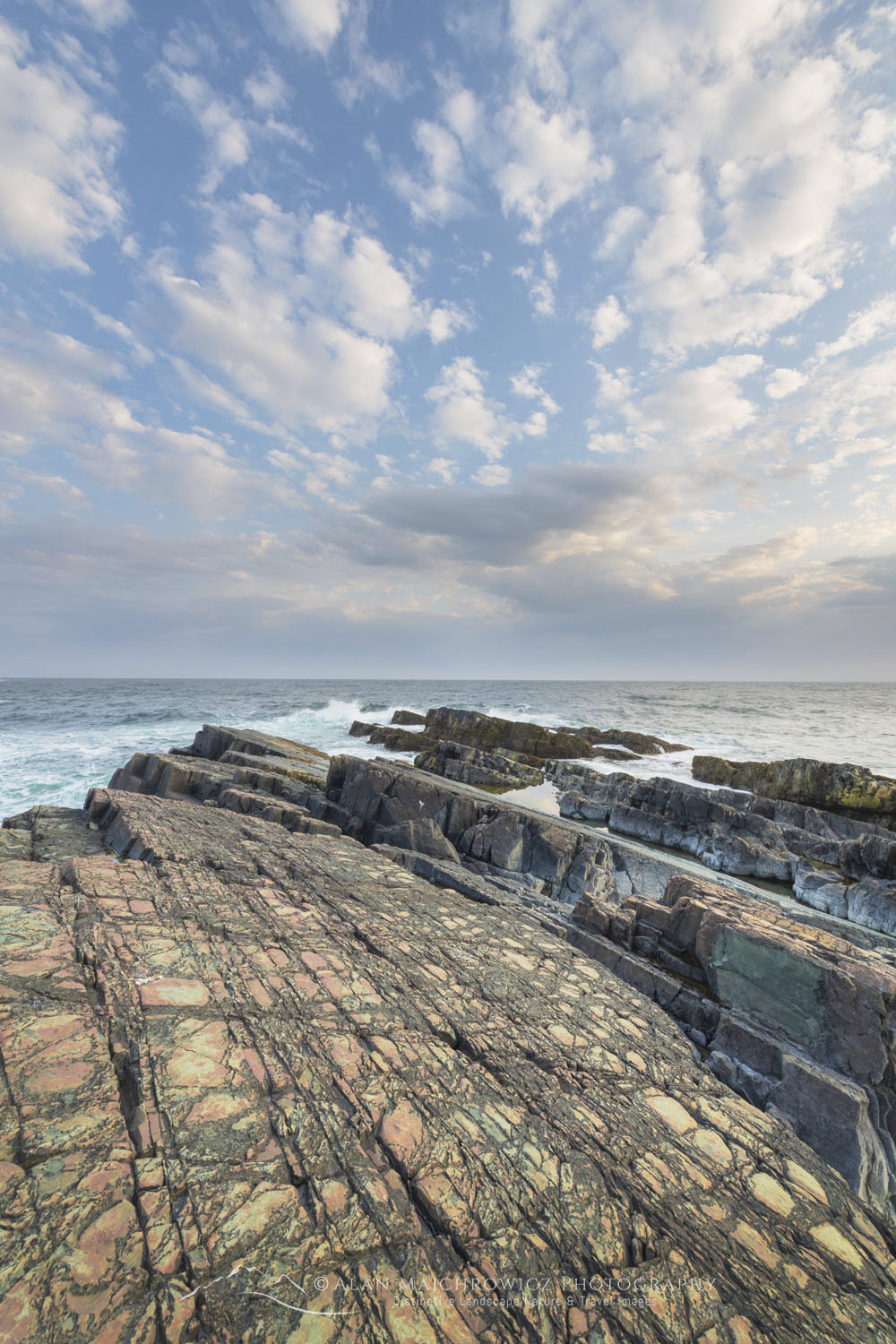 Daleys Point on the southern Avalon Peninsula. Part of the Mistaken Point Ecological Reserve and UNESCO World Heritage Site. Newfoundland and Labrador Canada #80694