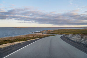 Cape Race Road Newfoundland #80608