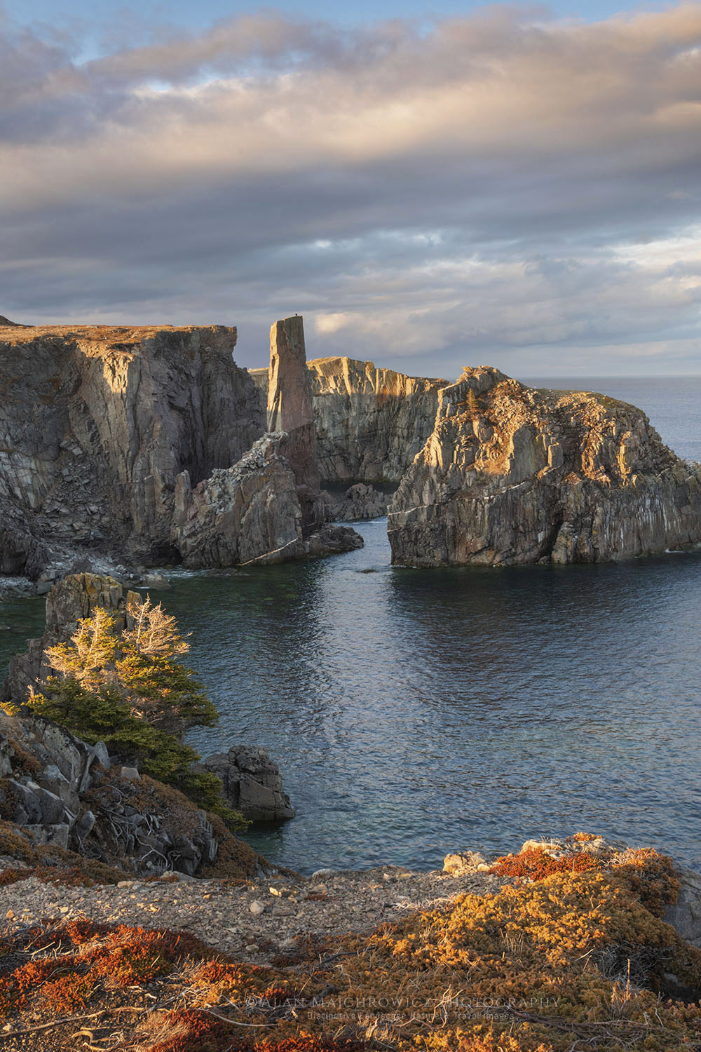 Cable John Cove, a Discovery UNESCO Global Geopark, Bonavista Peninsula, Newfoundland #79695
