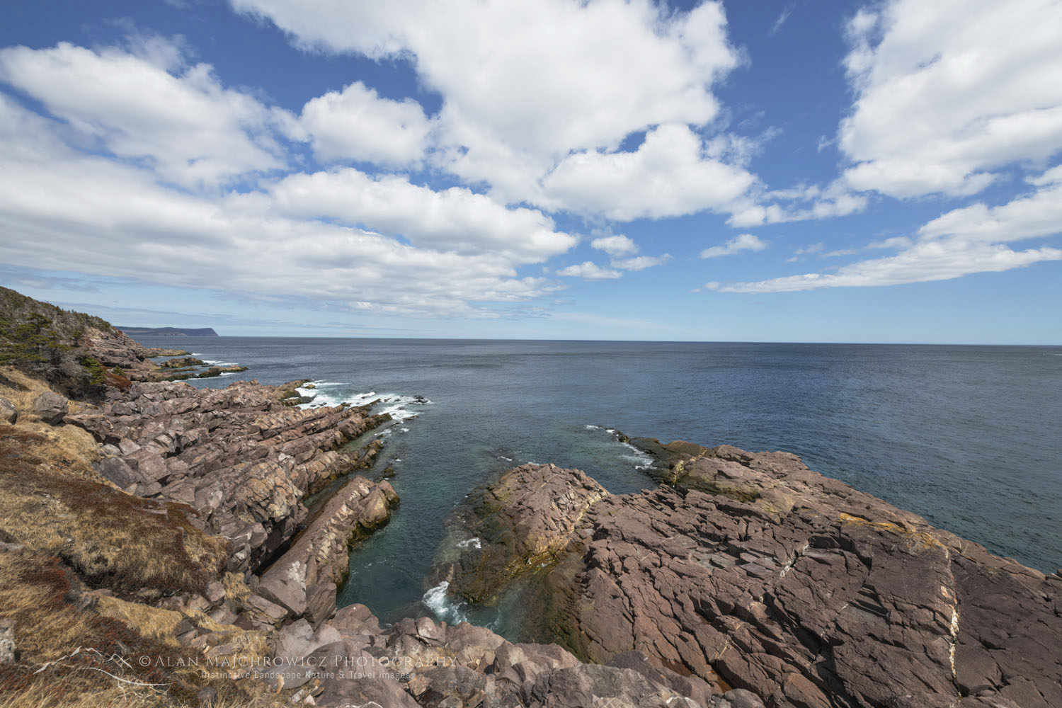 Artists create eye-popping worlds out of sand on a Bay of Fundy