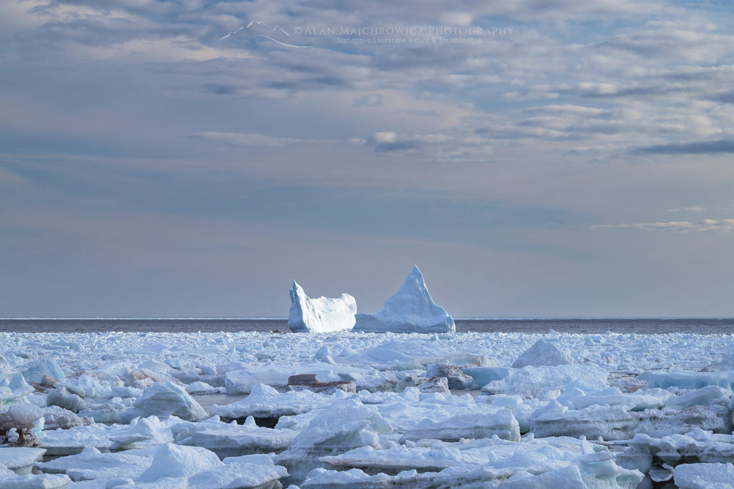 Iceberg and pack ice in Strait of Belle Isle, south coast of Labrador. Newfoundland and Labrador Canada #80262
