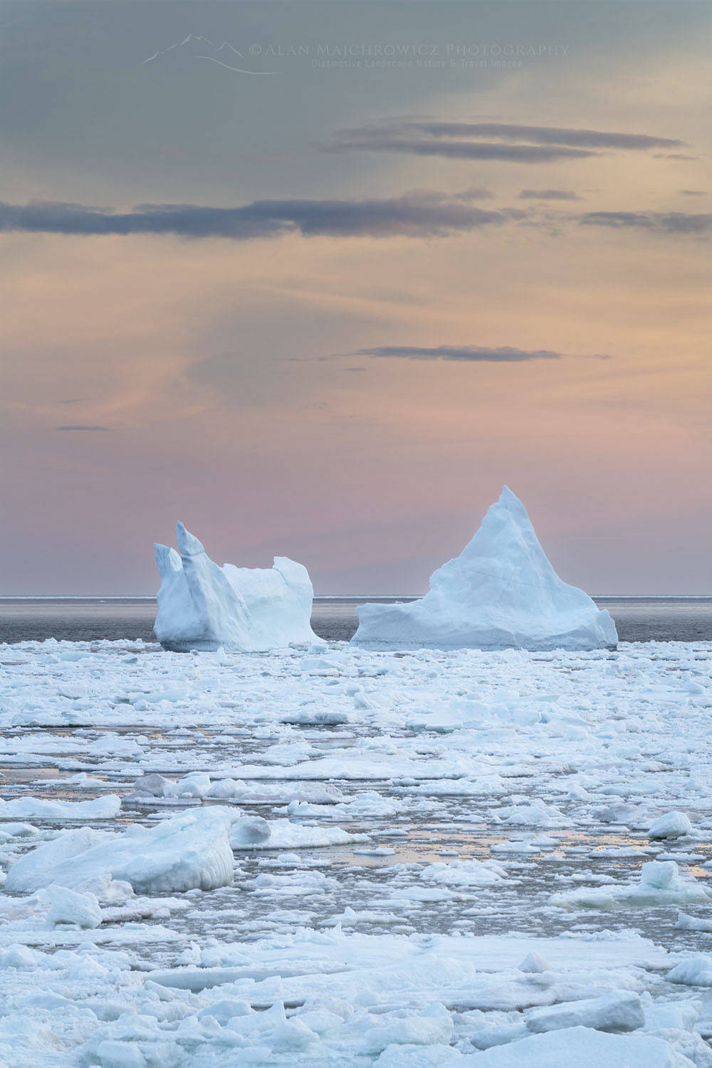 Iceberg and pack ice in Strait of Belle Isle glowing in evening light. South coast of Labrador. Newfoundland and Labrador Canada #80293
