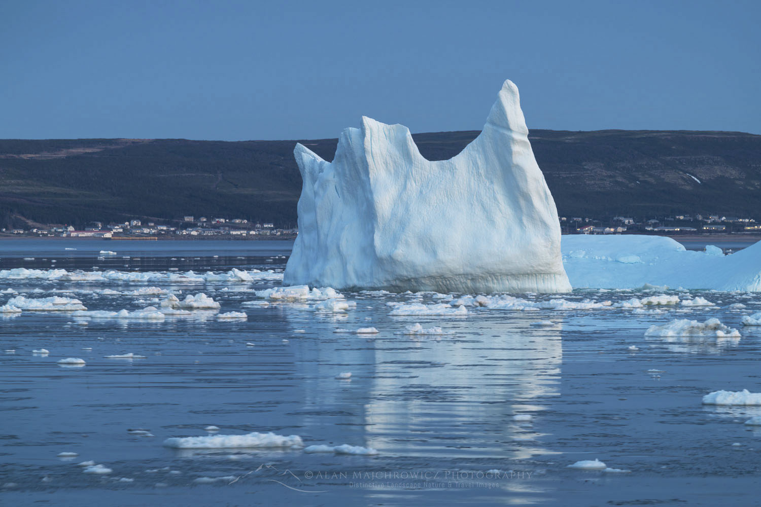 Iceberg and pack ice in Strait of Belle Isle, South coast of Labrador. Newfoundland and Labrador Canada #80306