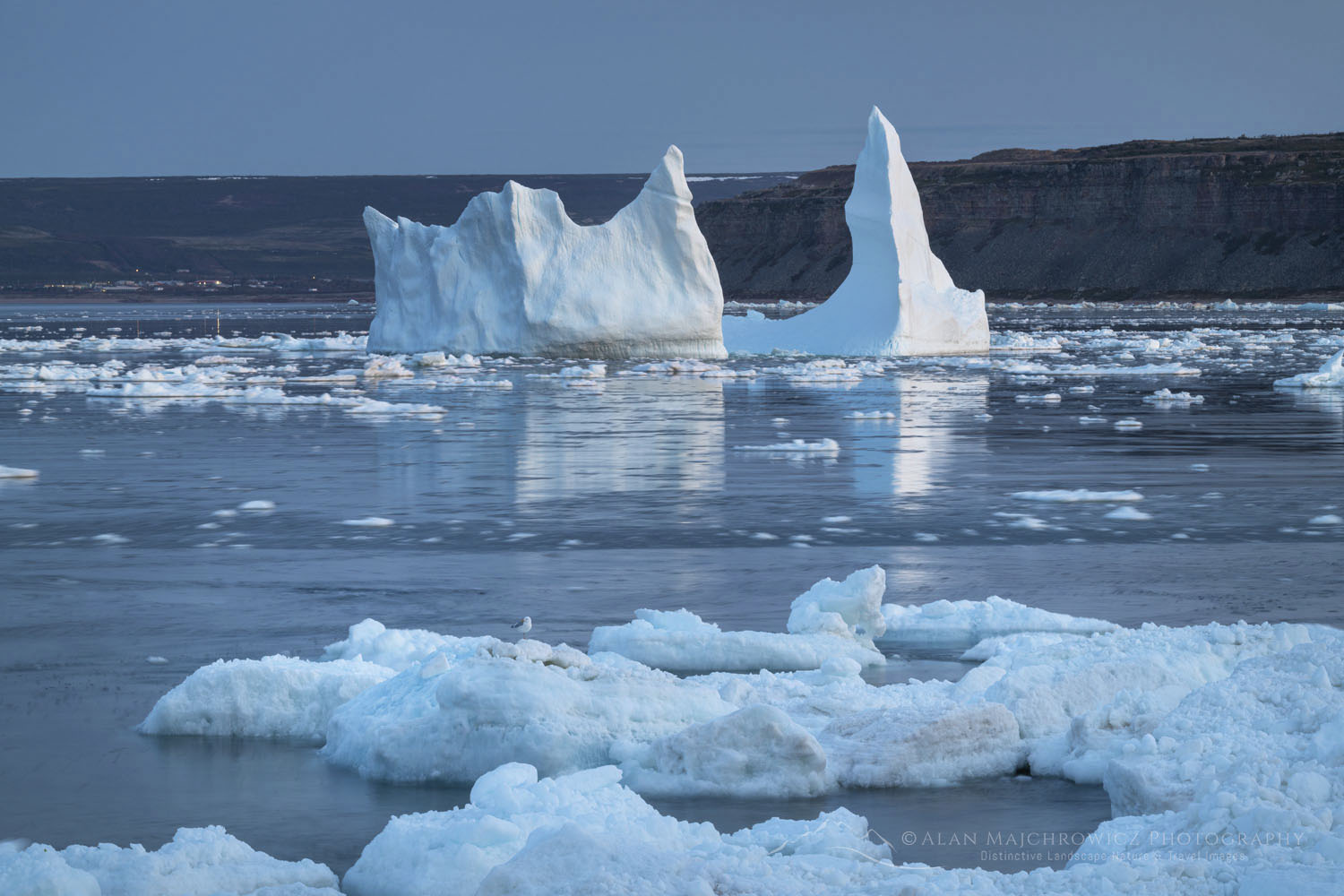 Iceberg and pack ice in Strait of Belle Isle, South coast of Labrador. Newfoundland and Labrador Canada #80309
