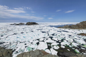 Sea ice in Sleepy Cove Newfoundland and Labrador Canada #79988