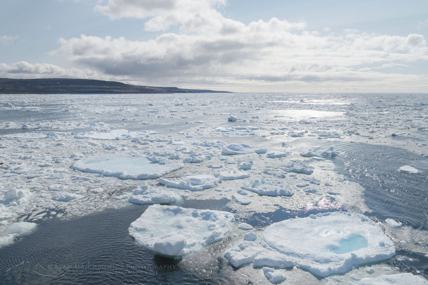 Pack ice and icebergs in Strait of Belle Isle - Alan Majchrowicz ...